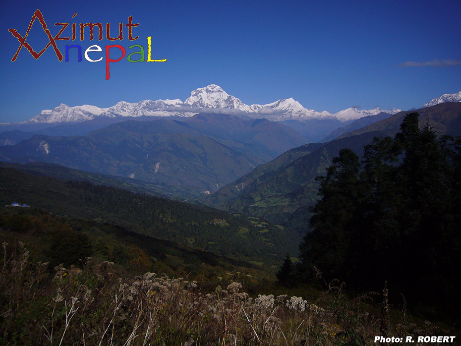 Click to enlarge image Dhaulagiri_from_Gurung_Hill.JPG