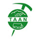 taan